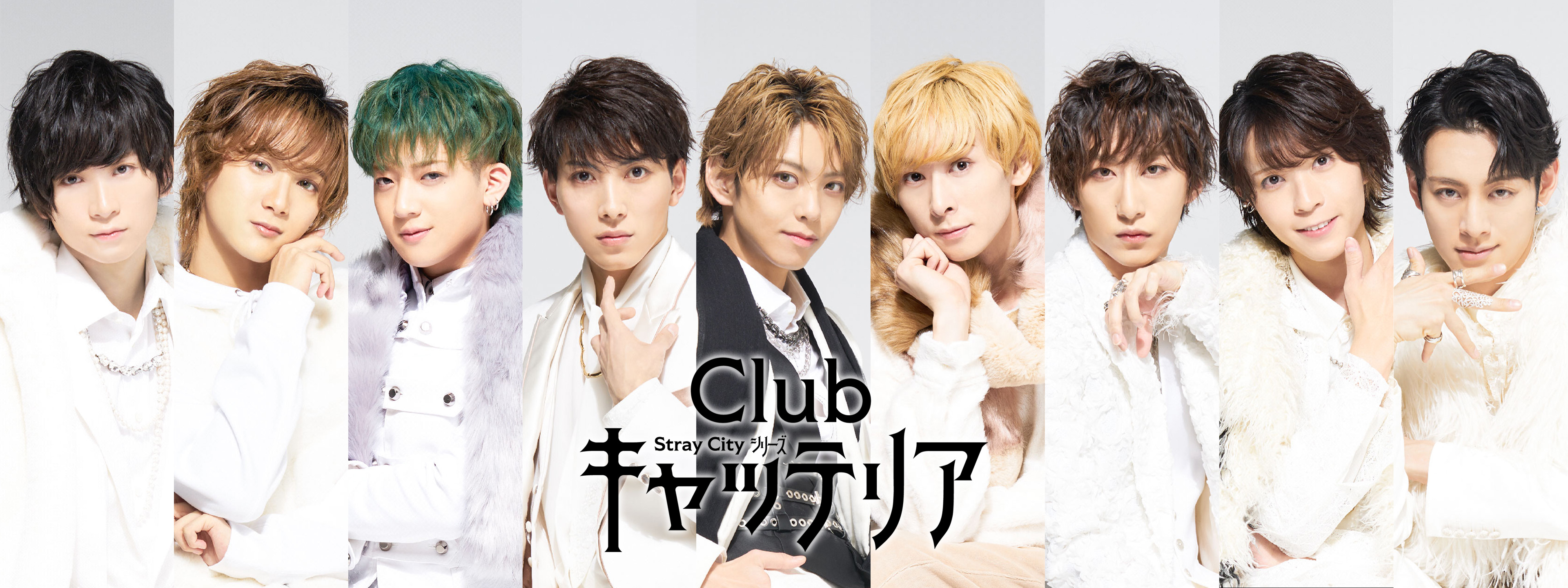 Stray City シリーズ「Clubキャッテリア」 | Hulu(フールー)