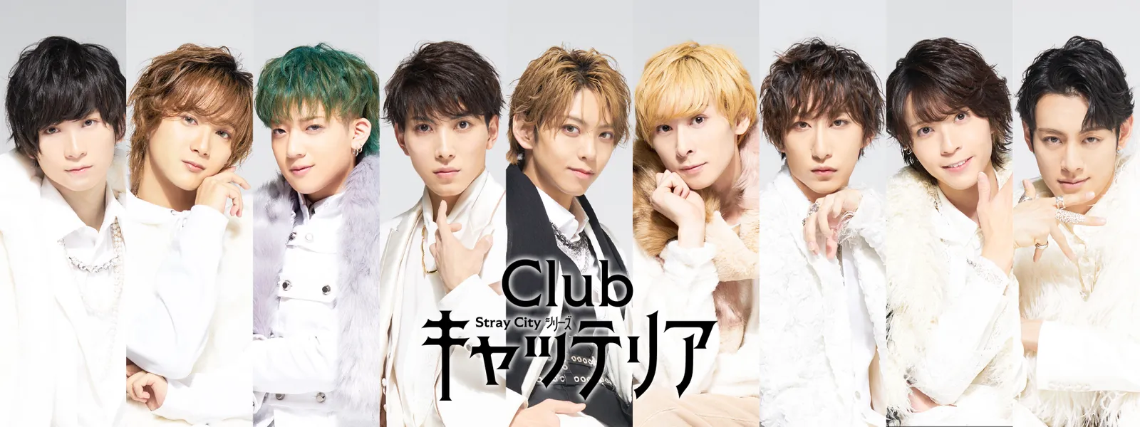 Stray City シリーズ「Clubキャッテリア」 | Hulu(フールー)