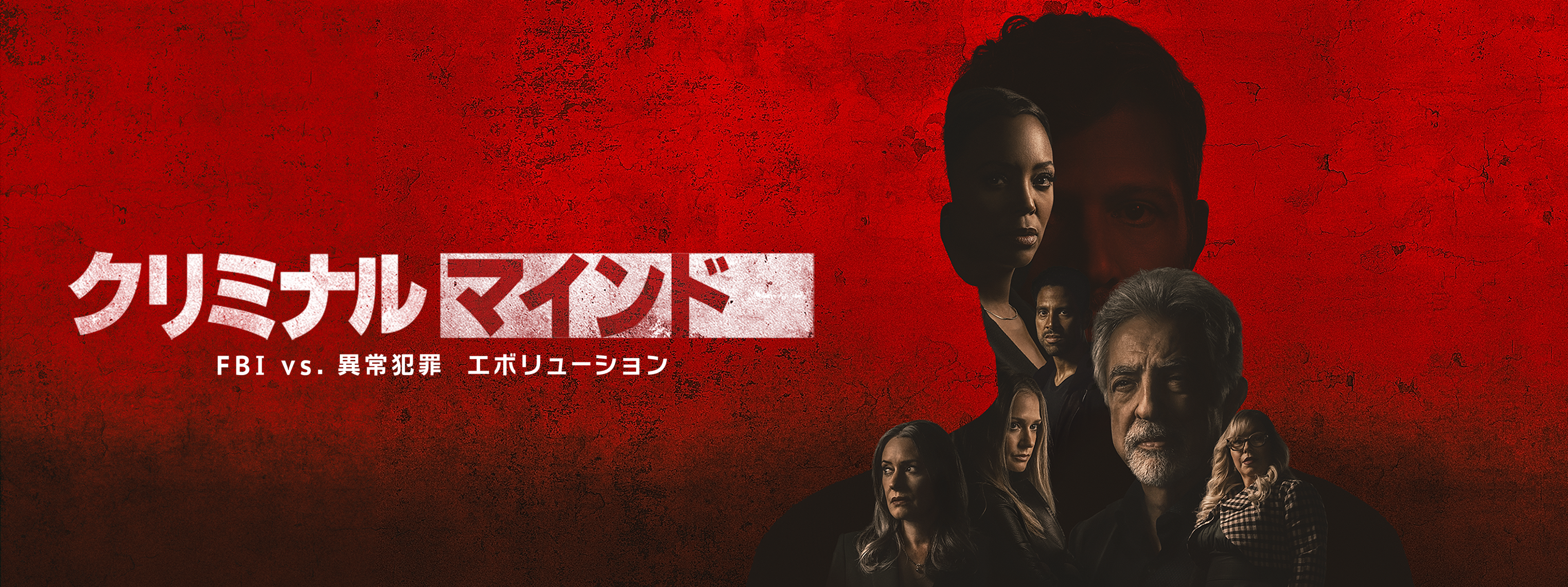 イ・ジュンギ『クリミナル・マインド:KOREA』レンタル落ちDVD☆全巻