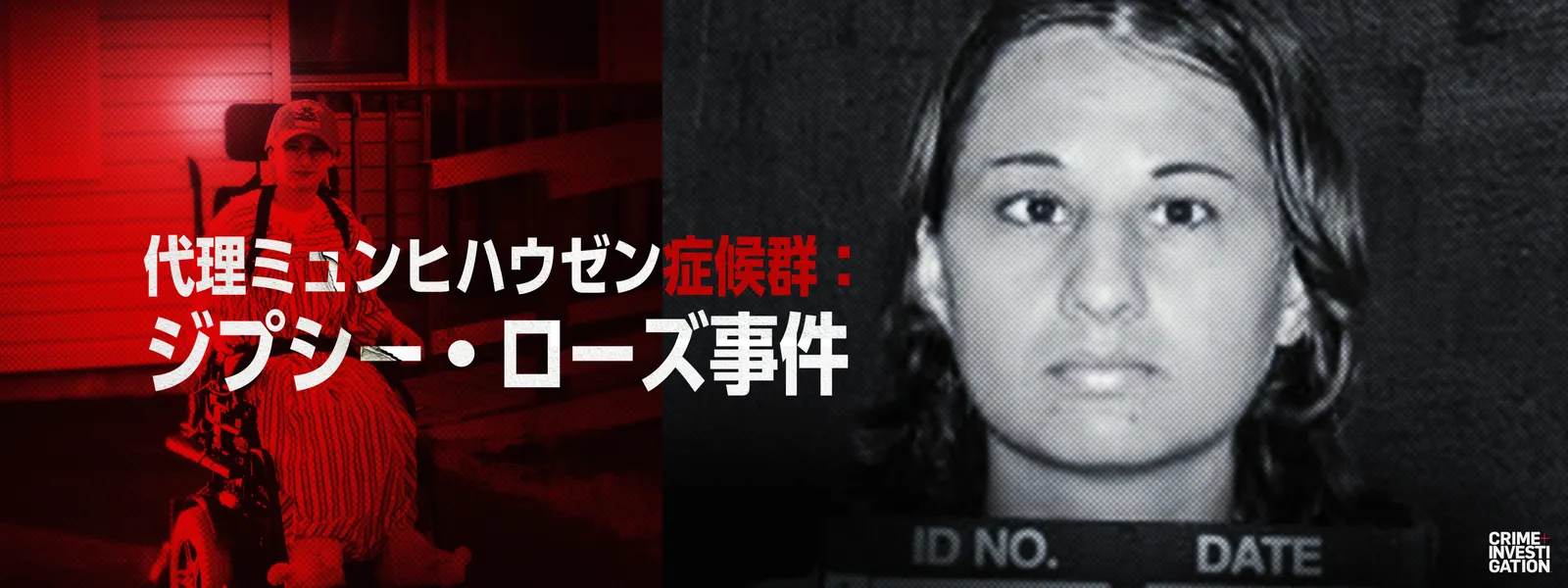 代理ミュンヒハウゼン症候群：ジプシー･ローズ事件 - サムネイル