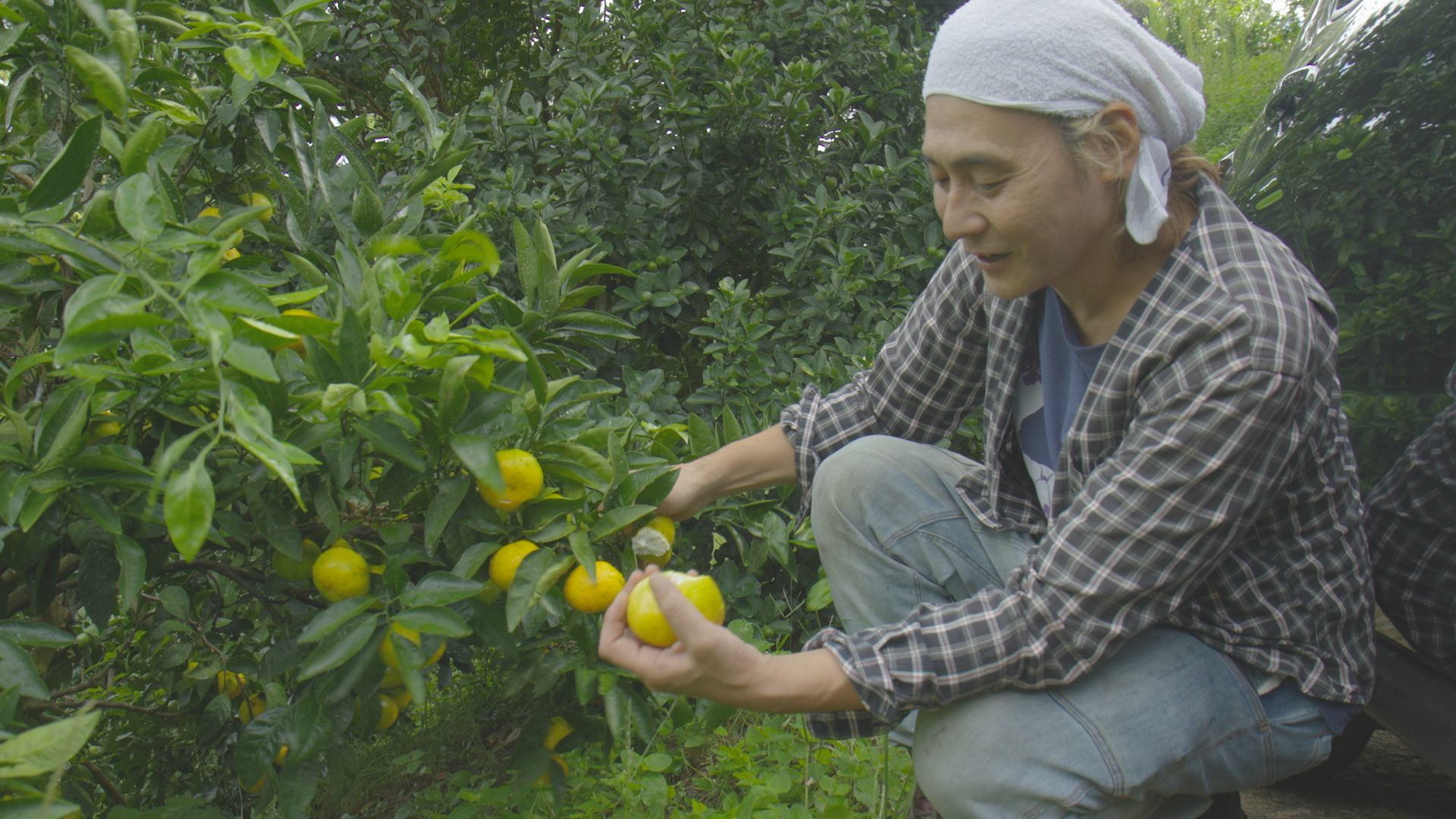 #217 千葉･南房総ミカン畑のキャンプ場へ