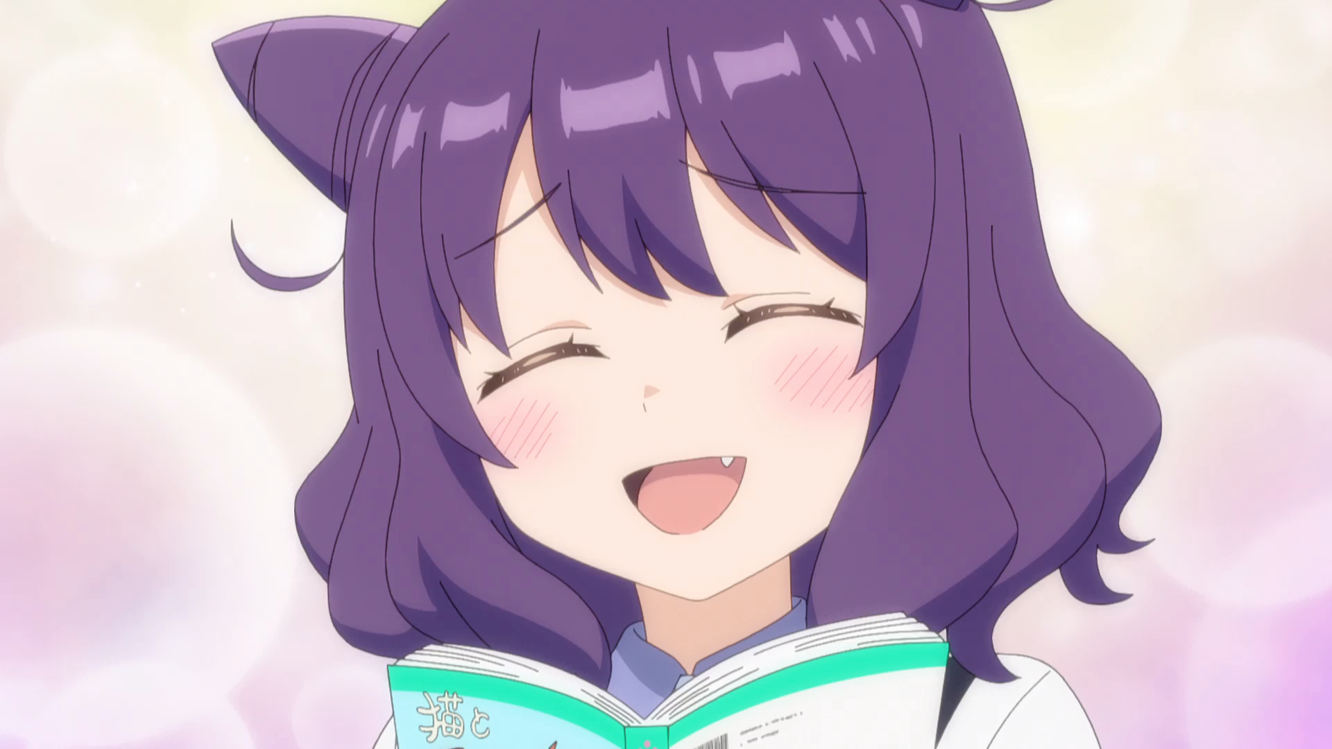 因縁! 猫VSハリネズミ