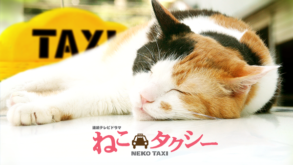連続テレビドラマ ねこタクシー | Hulu(フールー)