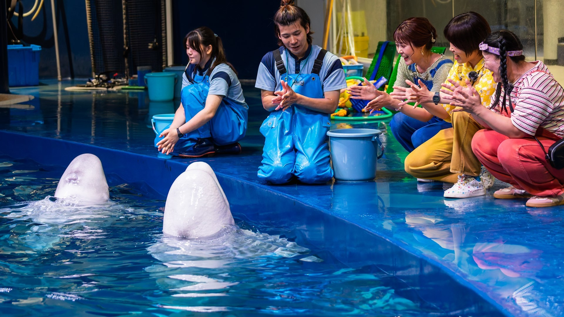 ただいまアクアス