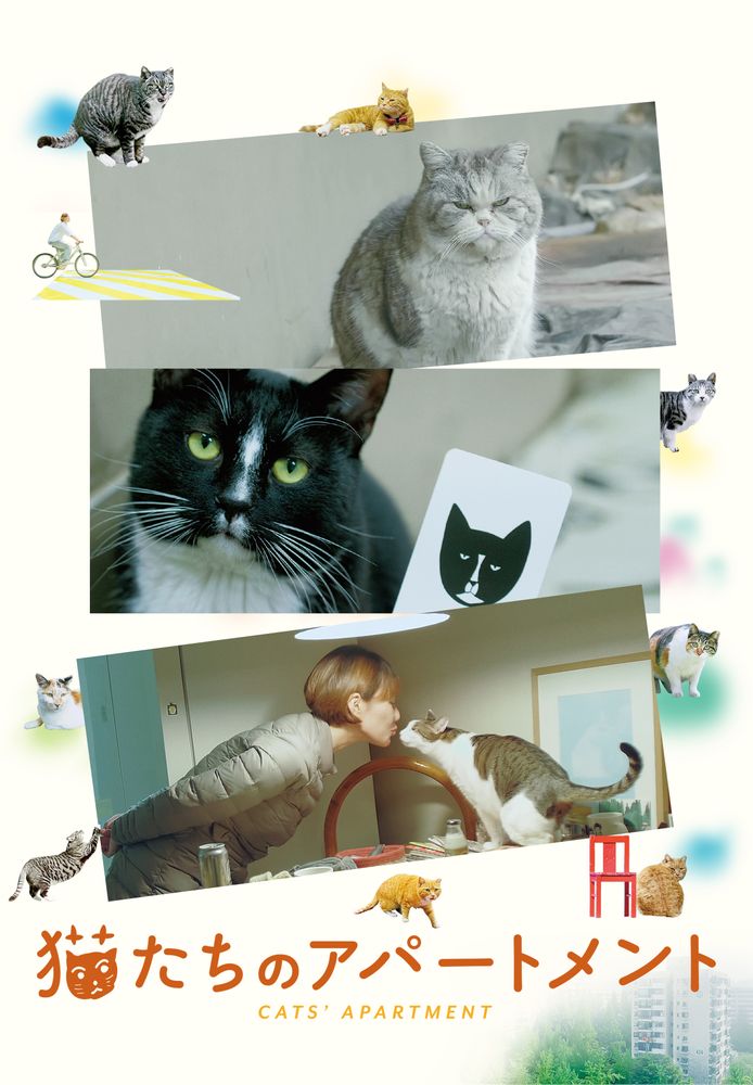 (字) 猫たちのアパートメント