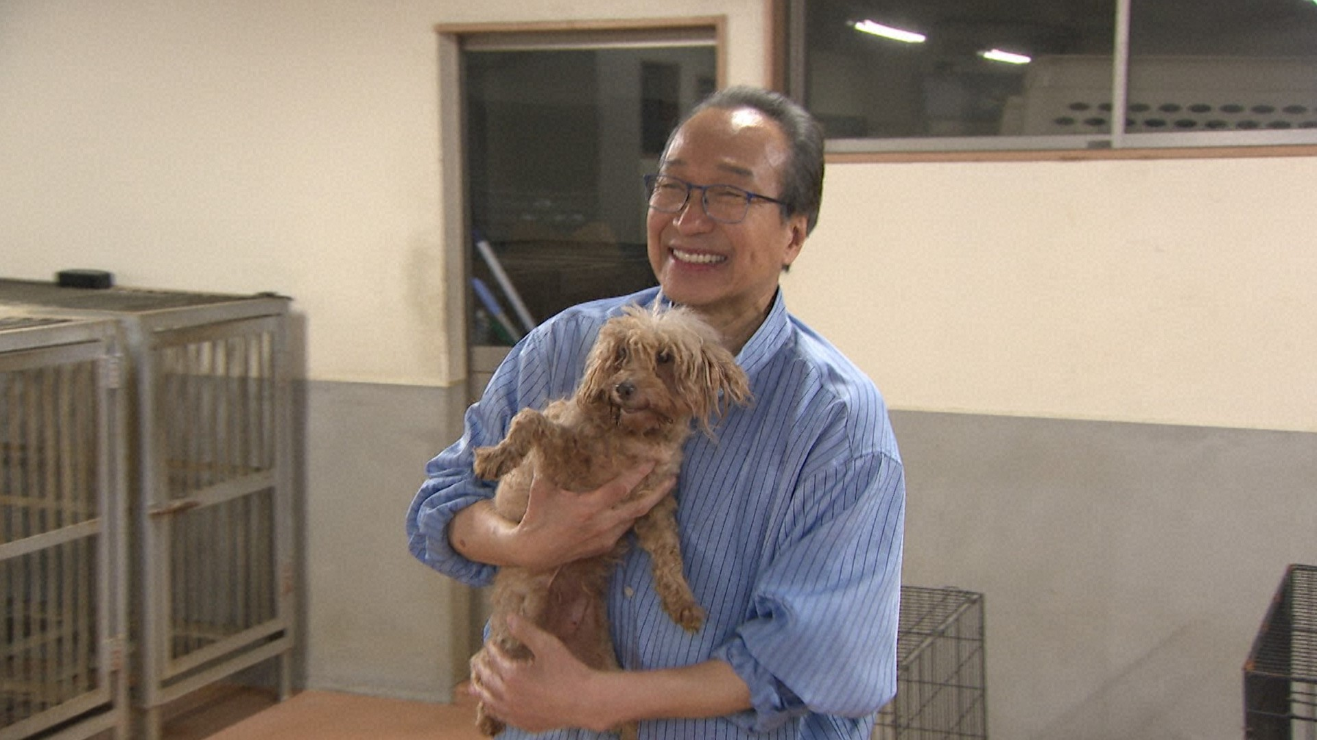 池崎×目が見えない天才猫&みりちゃむ家にヒロミ