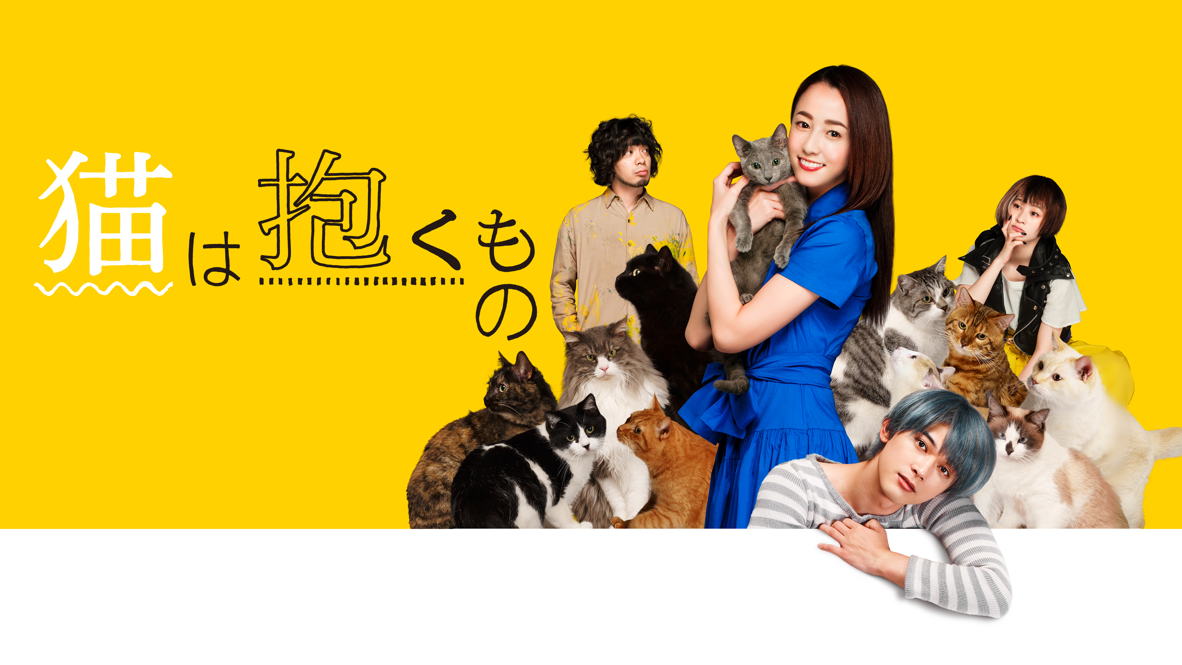 猫は抱くもの | Hulu(フールー)