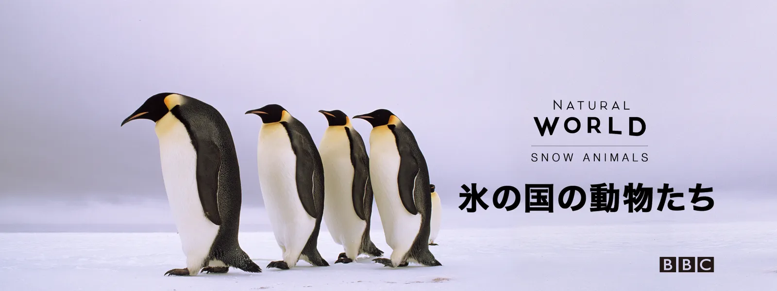 氷の国の動物たち - サムネイル