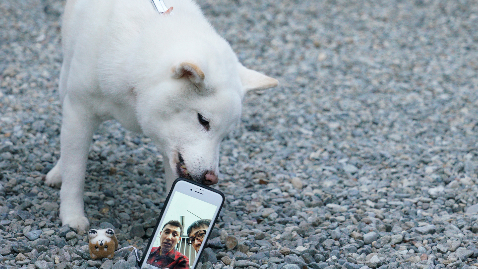 第四話『すまほ』