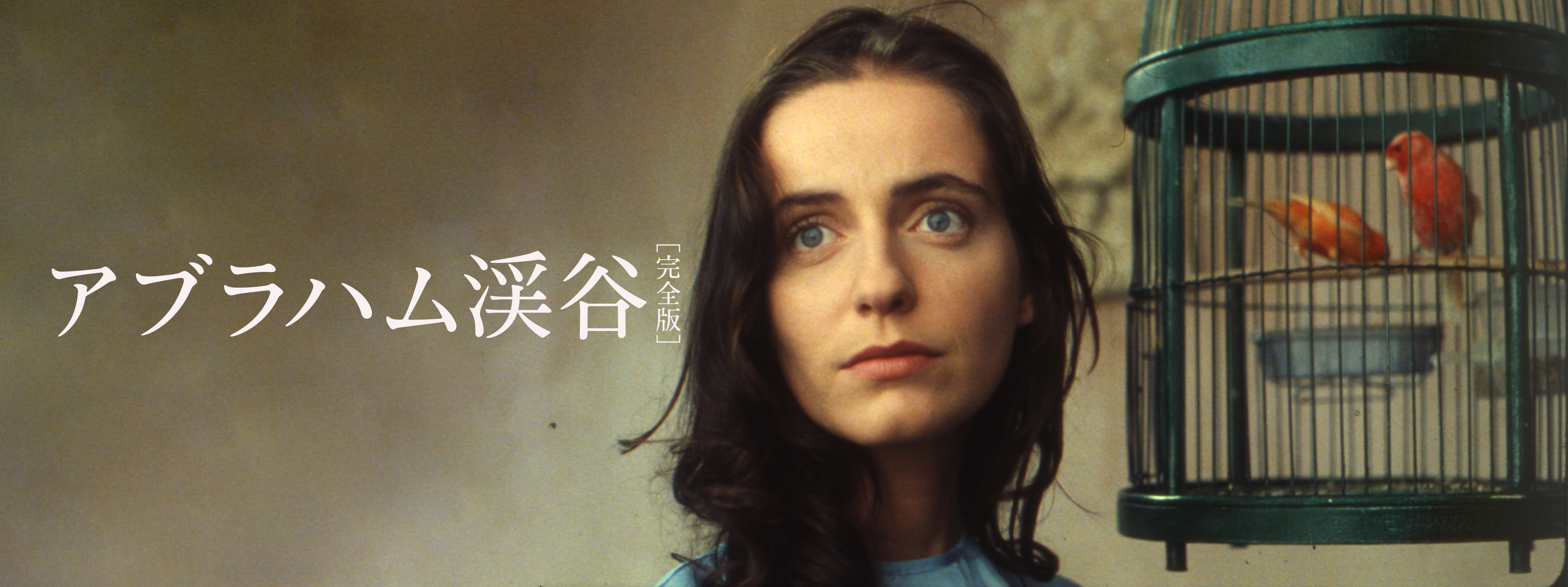 アブラハム渓谷［完全版］ | Hulu(フールー)
