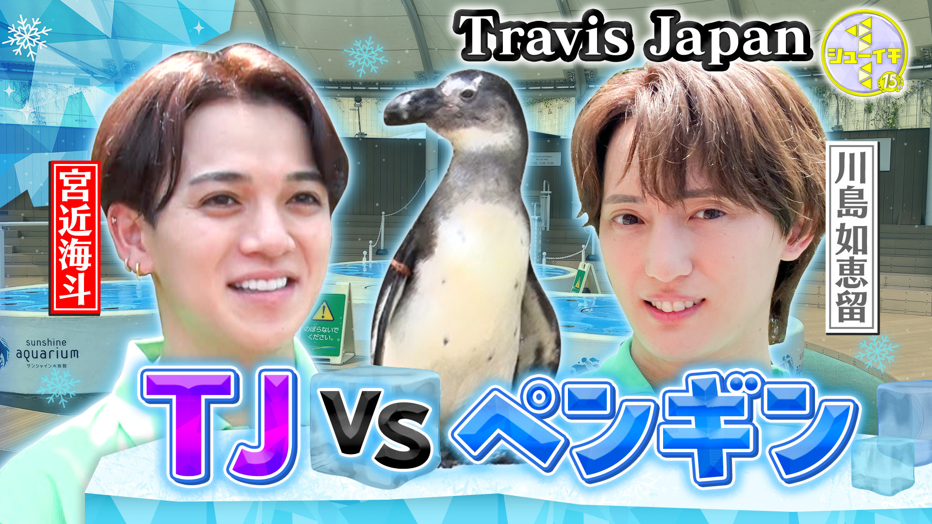 海の生き物の健康管理をスタディー