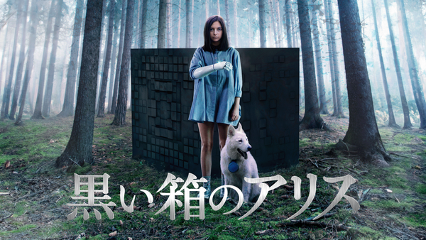黒い箱のアリス [DVD] mxn26g8 黒い箱のアリス DVD - メルカリ