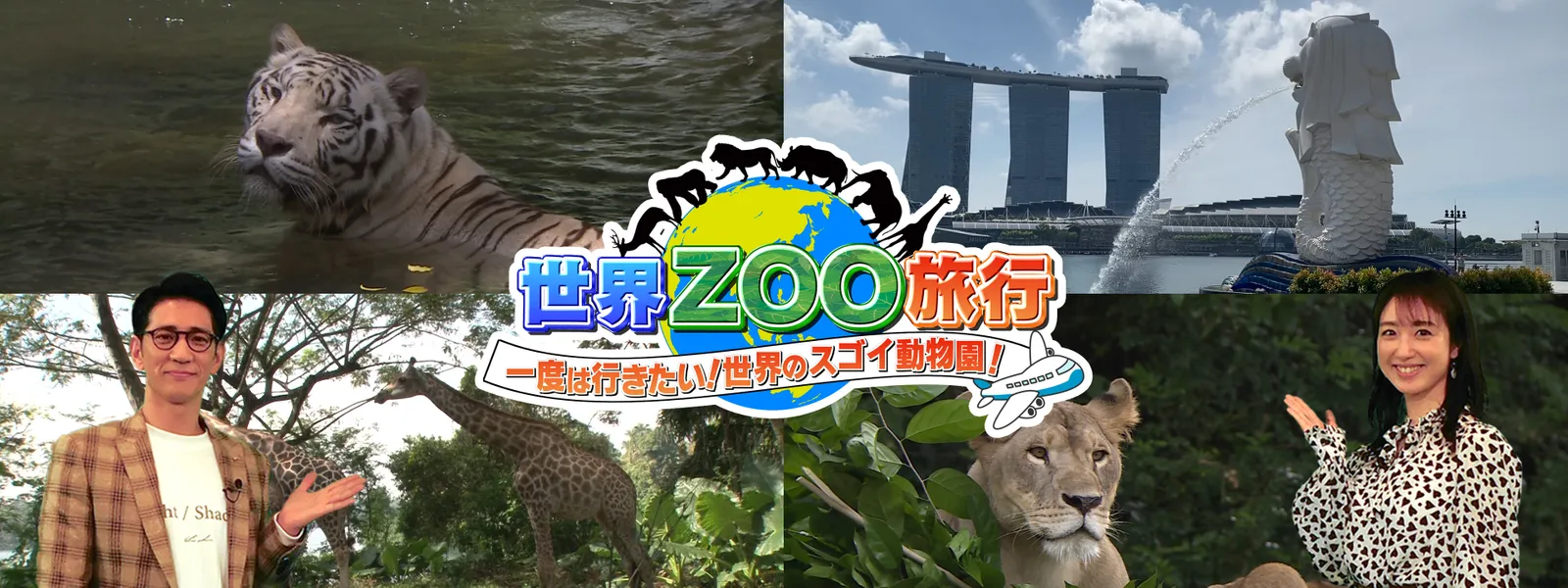 世界zoo旅行 一度は行きたい 世界のスゴイ動物園 が見放題 Hulu フールー お試し無料