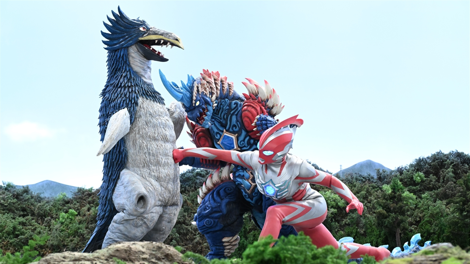 急な寒波に御用心