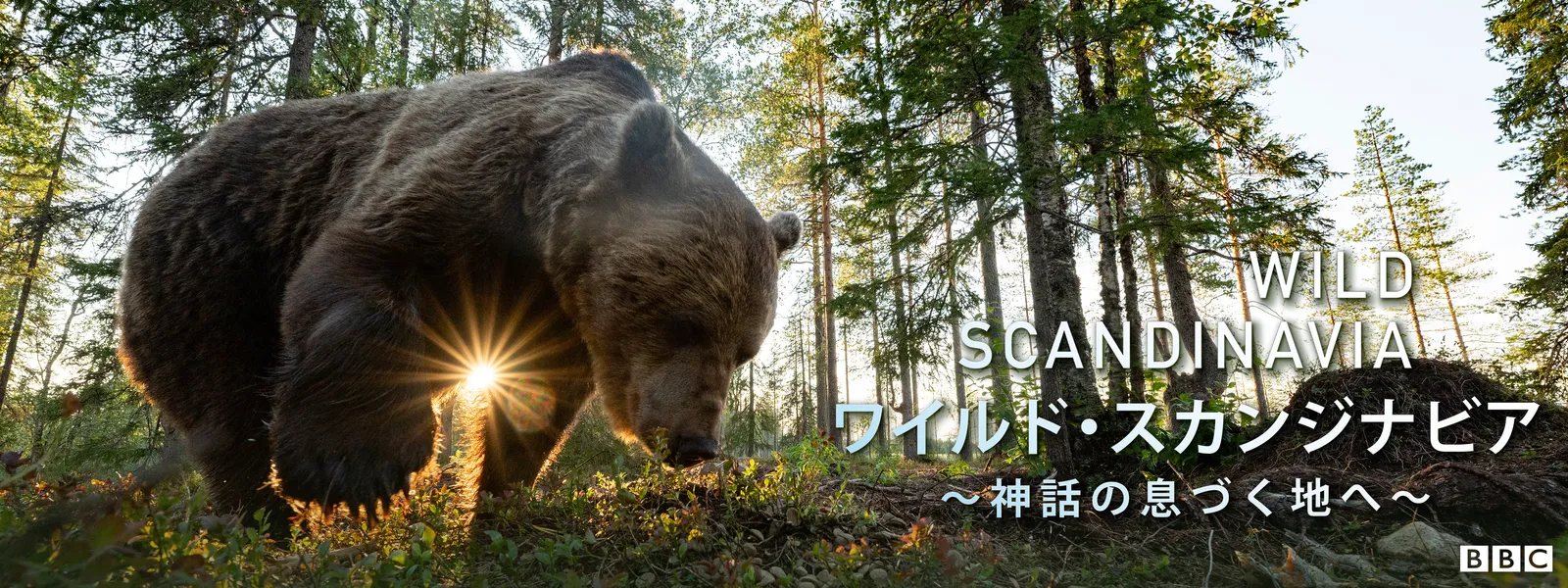 ワイルド･スカンジナビア～神話の息づく地へ～ - サムネイル
