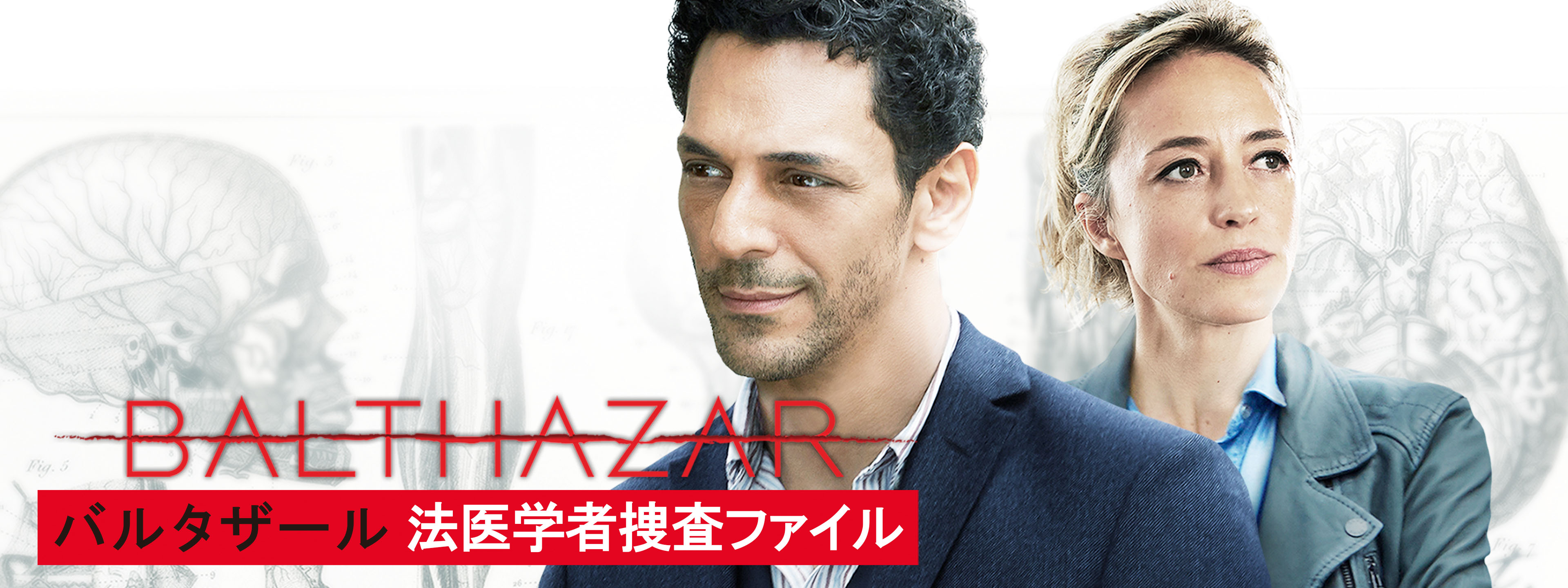 バルタザール 法医学者捜査ファイル | Hulu(フールー)