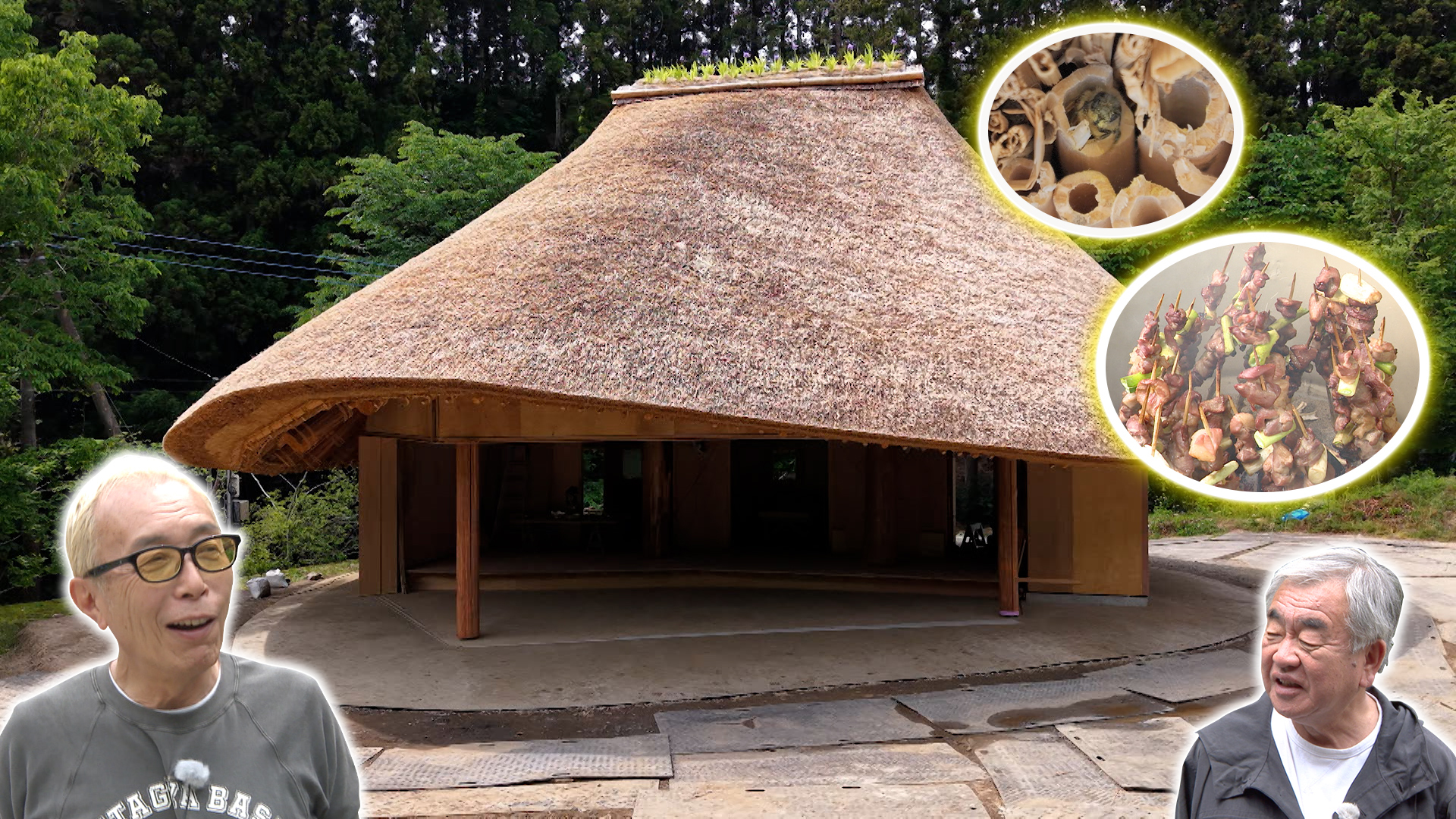 所さん隈研吾さん絶賛かがくの里のイチゴで科学的アイス作り