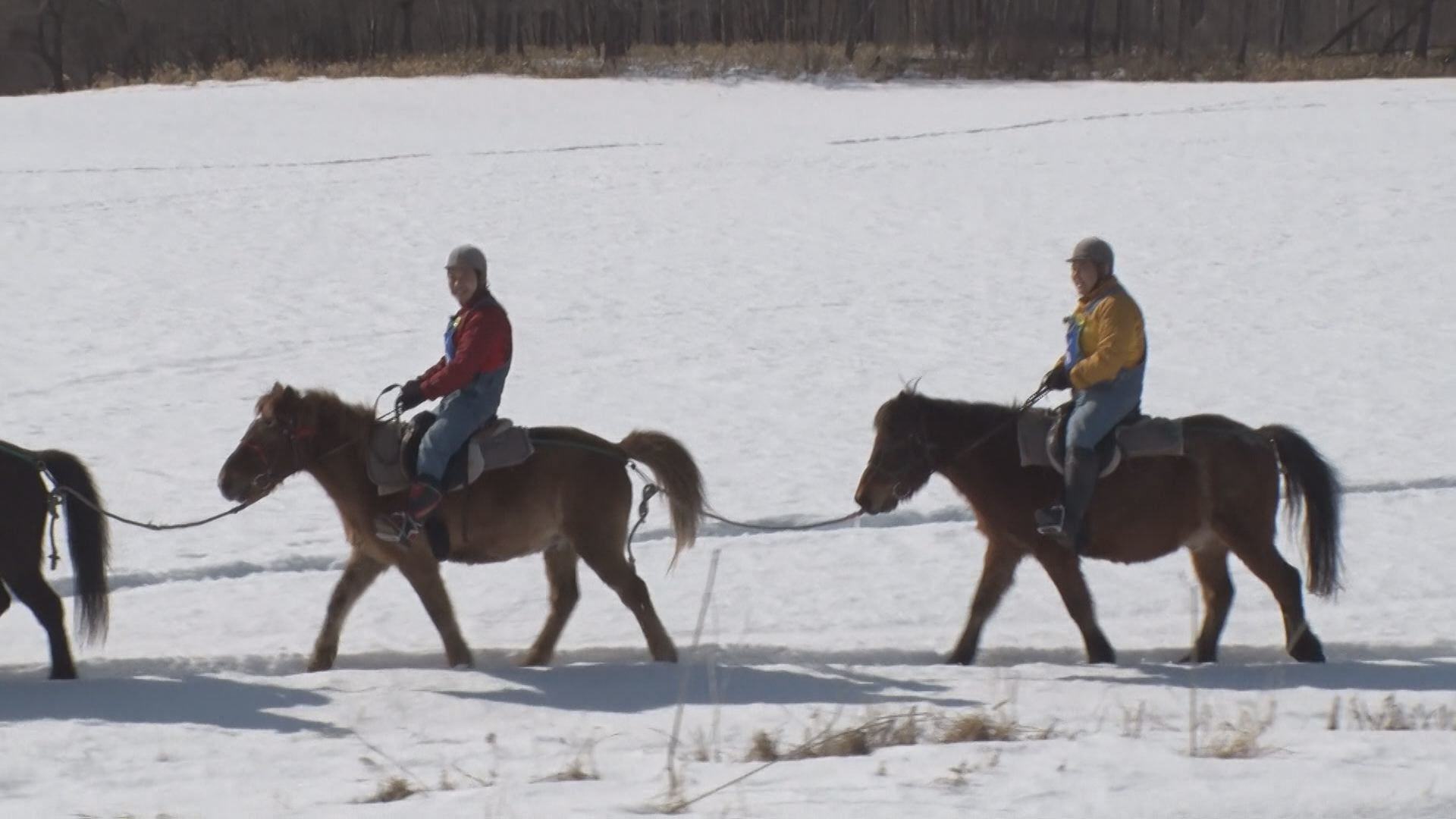どさんこめぐり旅 鶴居編②