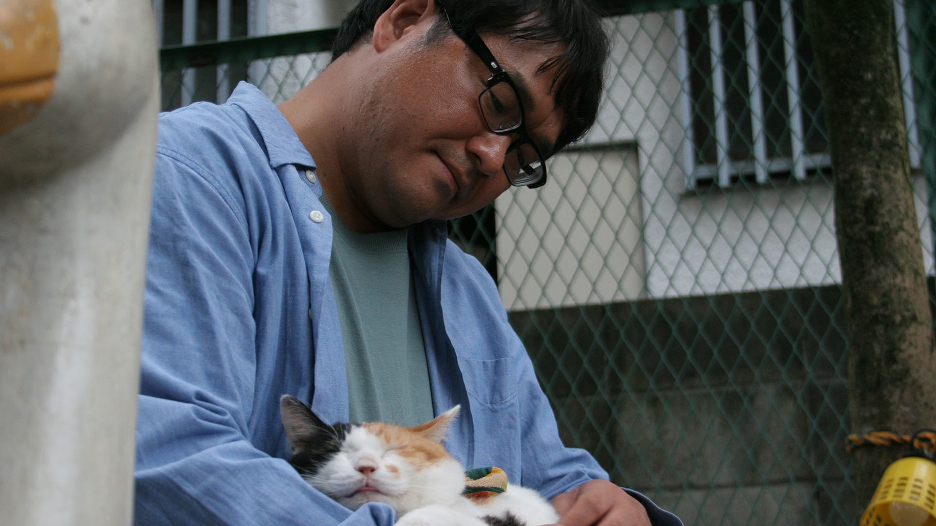 第7話 いわかん