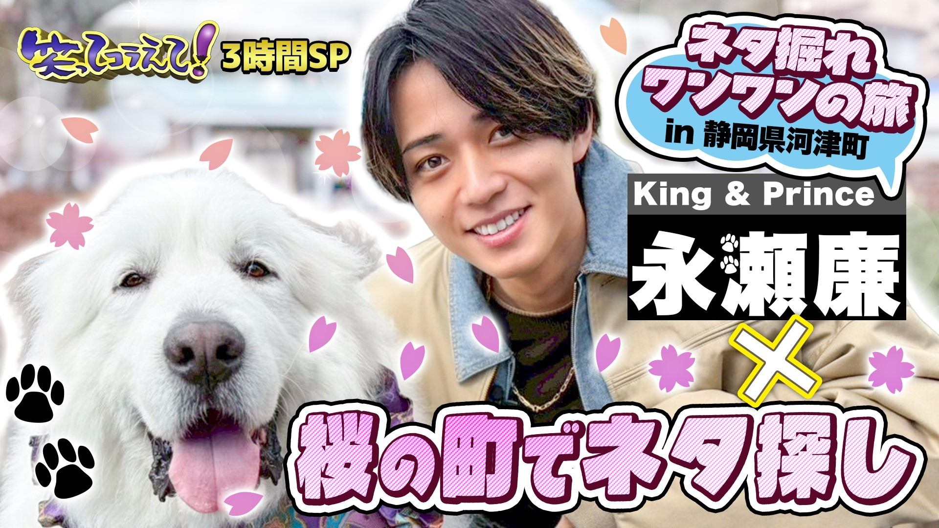 (2) 北海道から鹿児島県徳之島まで! ダーツ&道の駅伝3時間SP