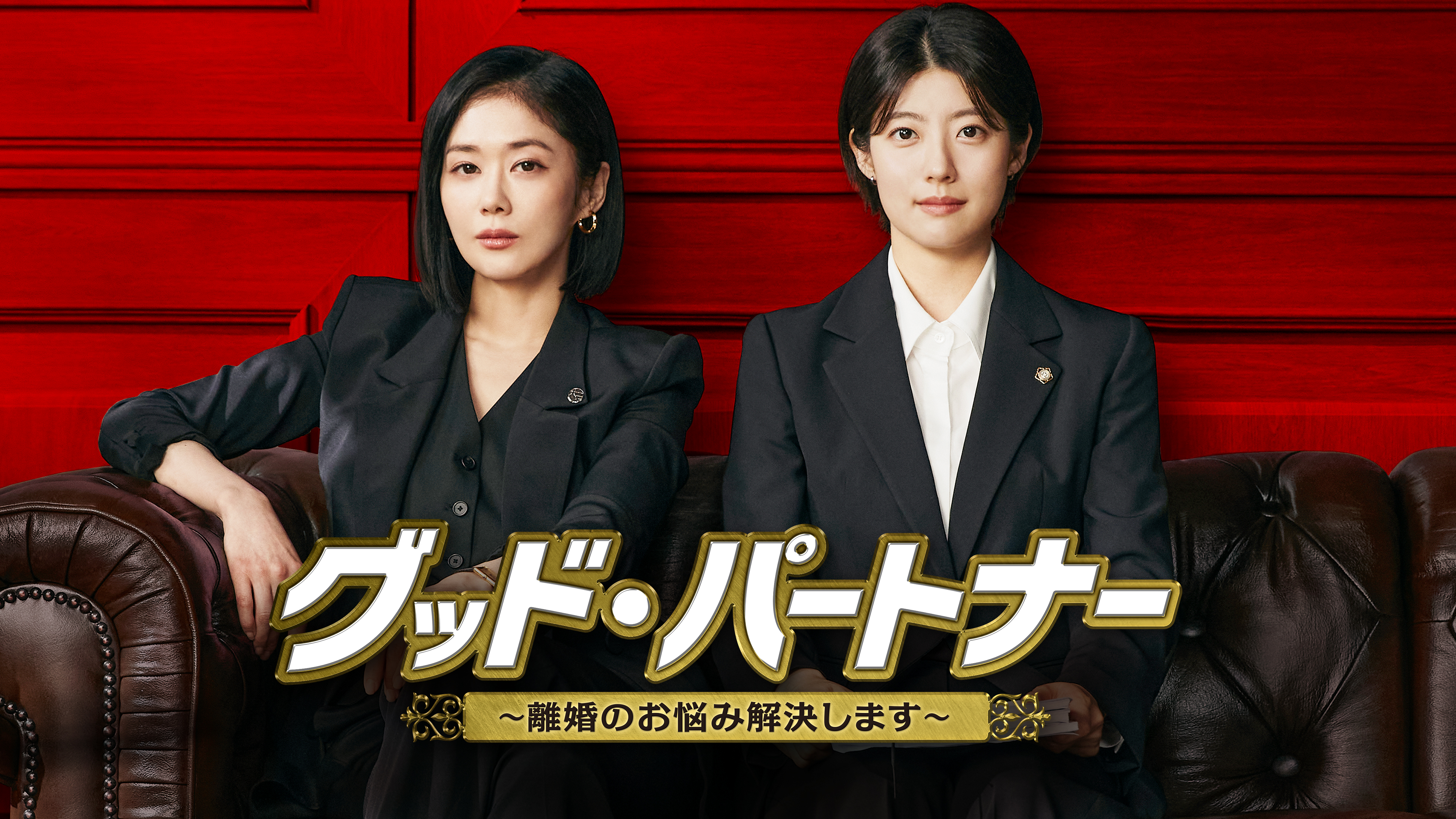 グッド・パートナー ～離婚のお悩み解決します～ | Hulu(フールー)