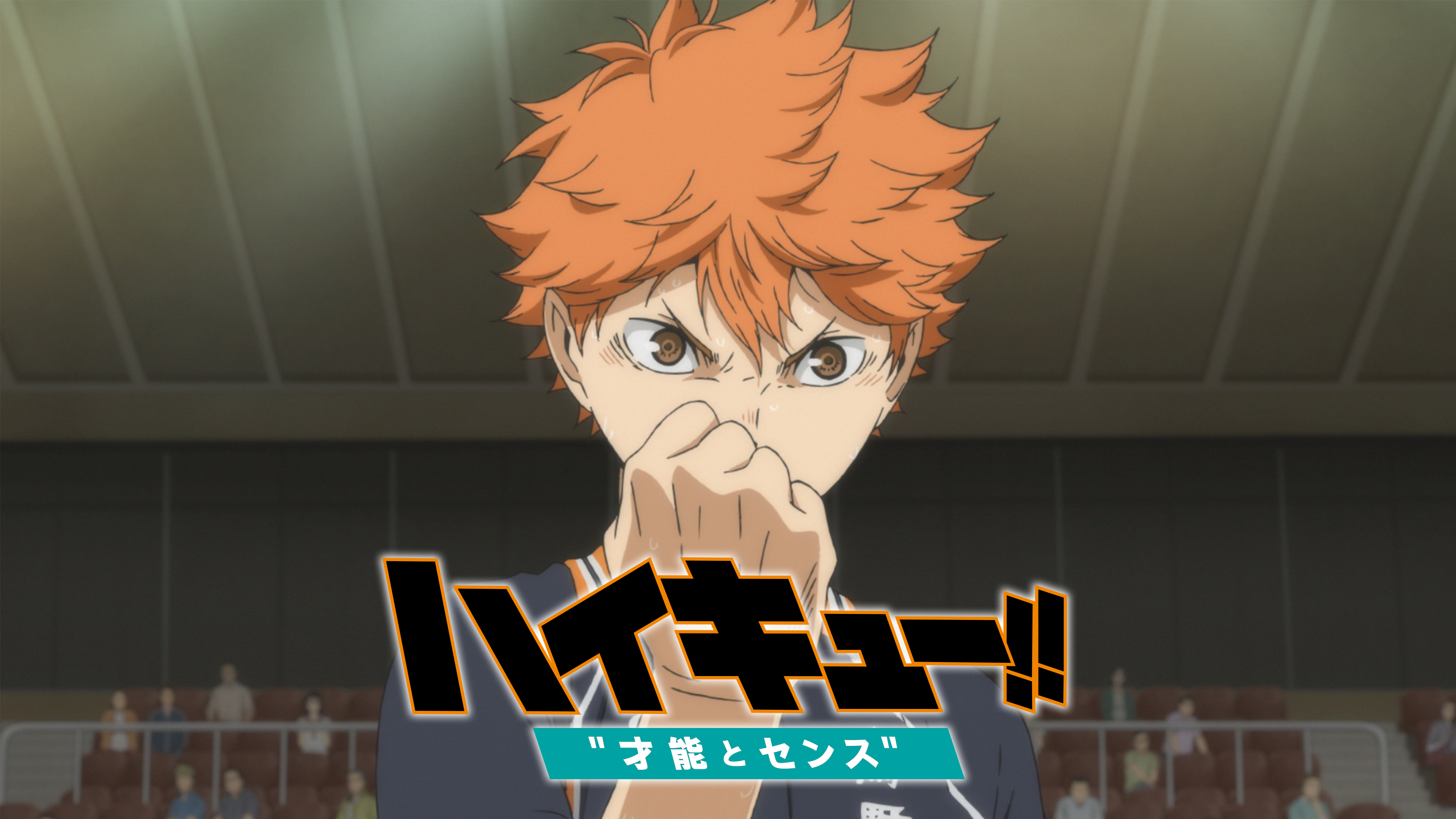 劇場版総集編 青葉城西高校戦『ハイキュー!! 才能とセンス』 | Hulu