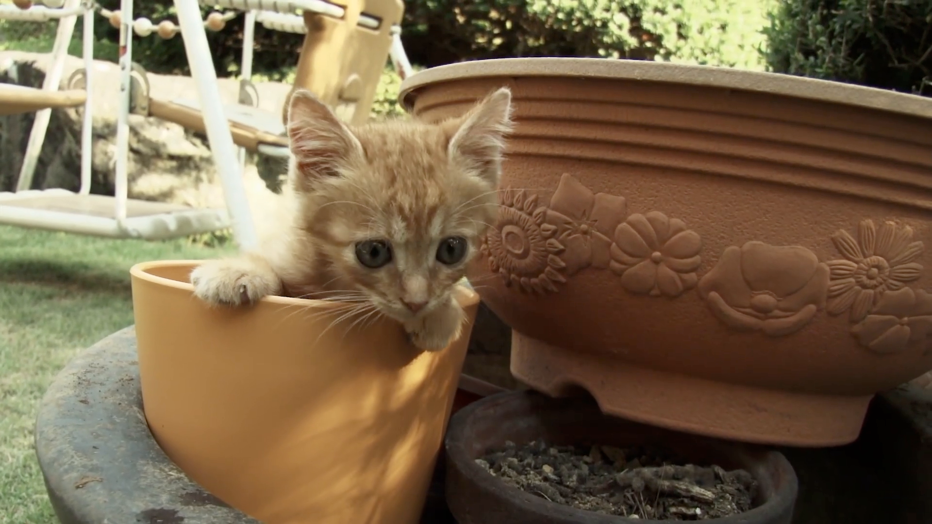 第1話 完璧なものが世の中に二つある。時計と、猫だ。