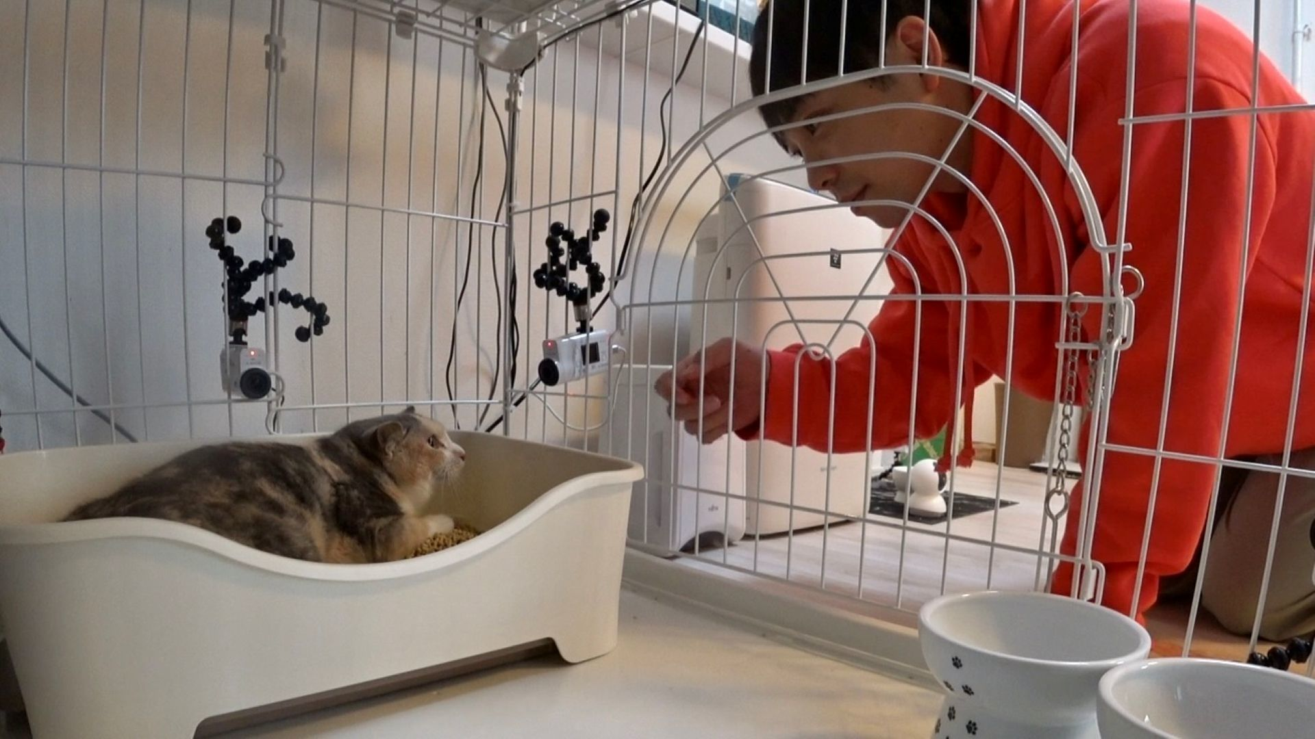 ティモンディ前田×激かわ子猫ケージOPENでハプニング!