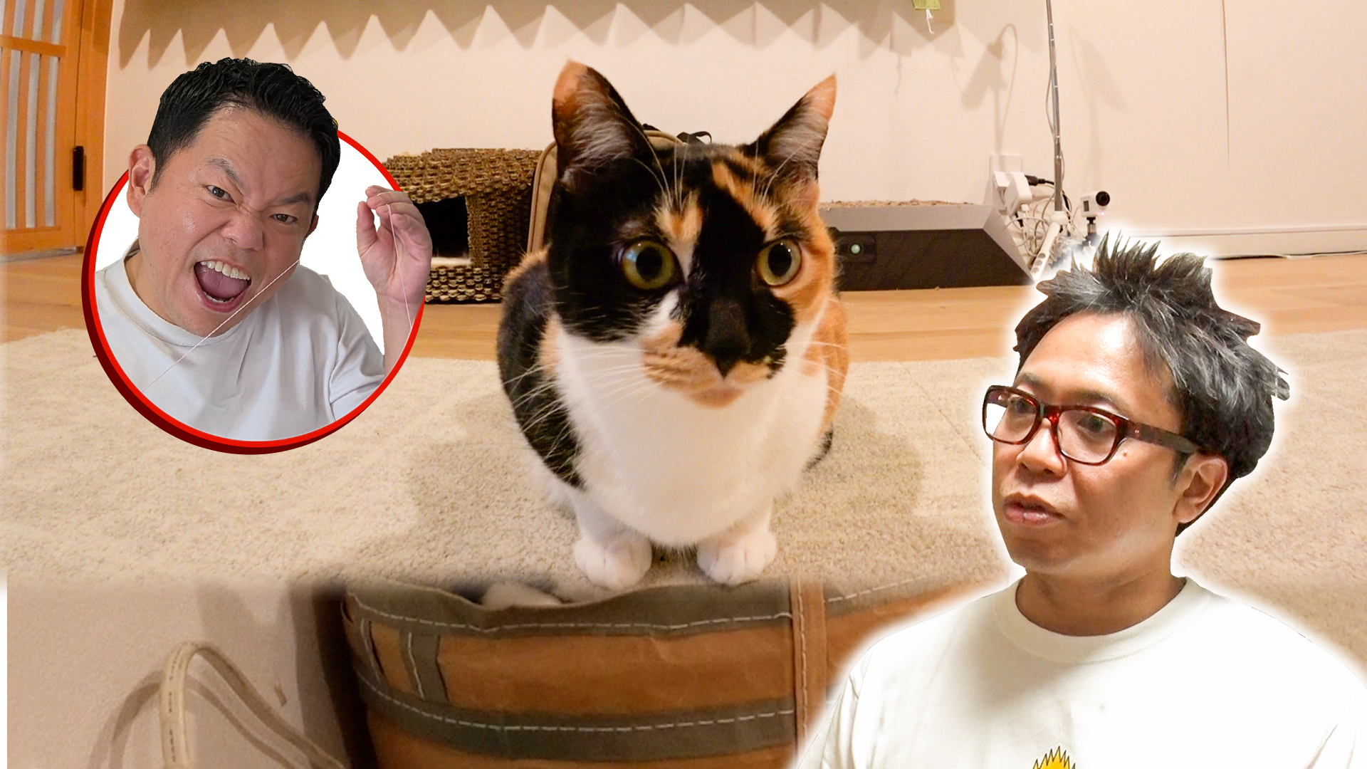 サンシャイン池崎&ブルボン譲渡会参加! 最終回SP