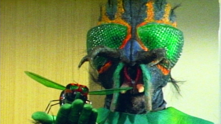 悪魔の使者 怪奇ハエ男