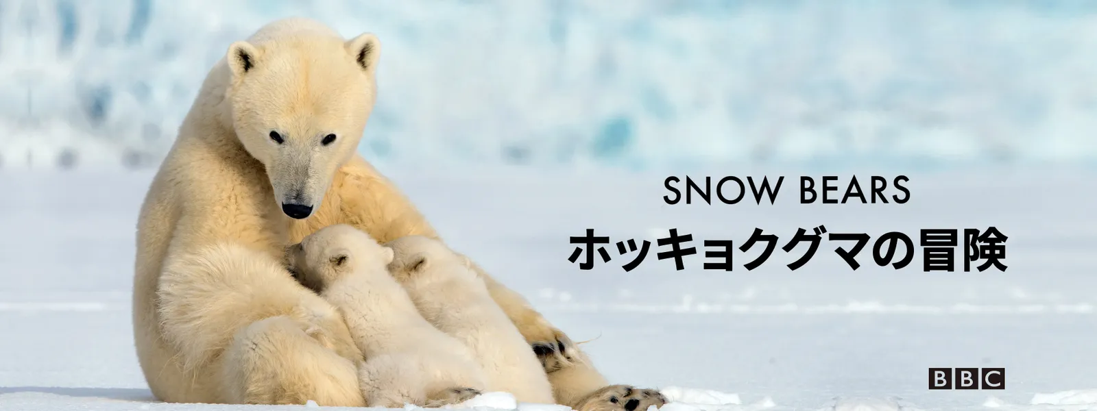 ホッキョクグマの冒険 - サムネイル