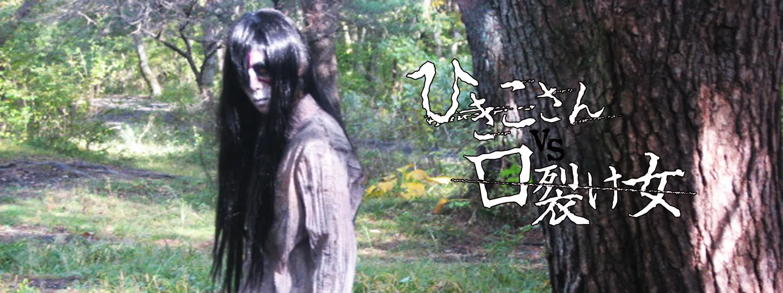 ひき こ さん