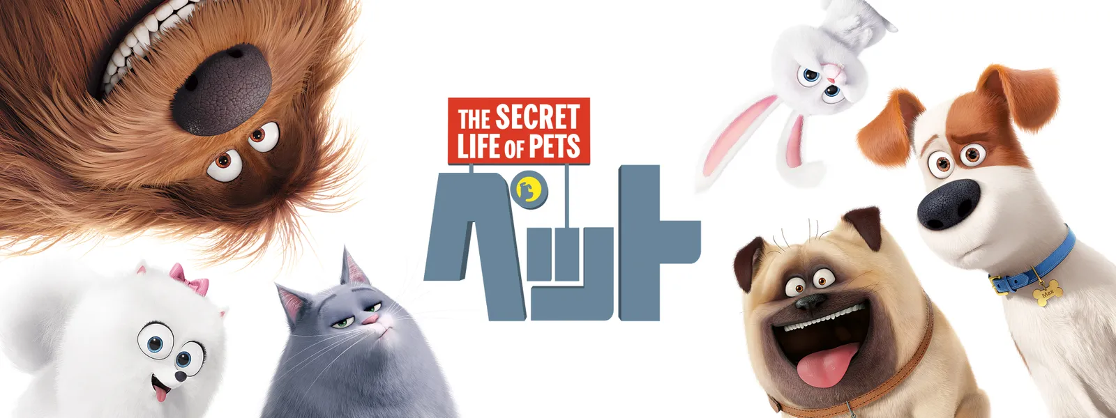 ペット が見放題 Hulu フールー お試し無料