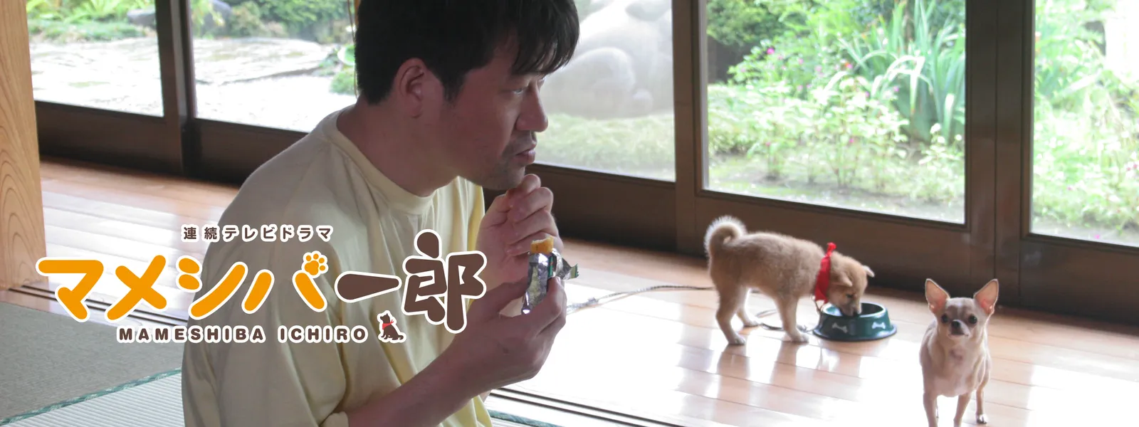 連続テレビドラマ マメシバ一郎 - サムネイル