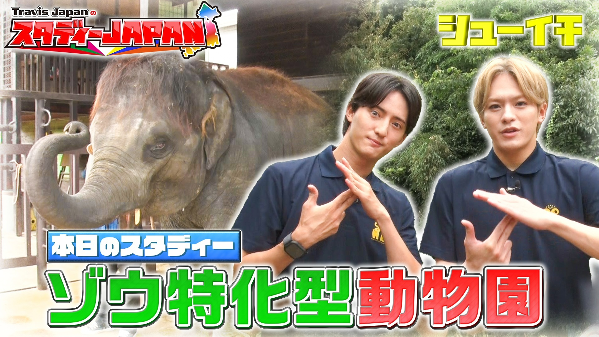 ゾウ特化型動物園 前編