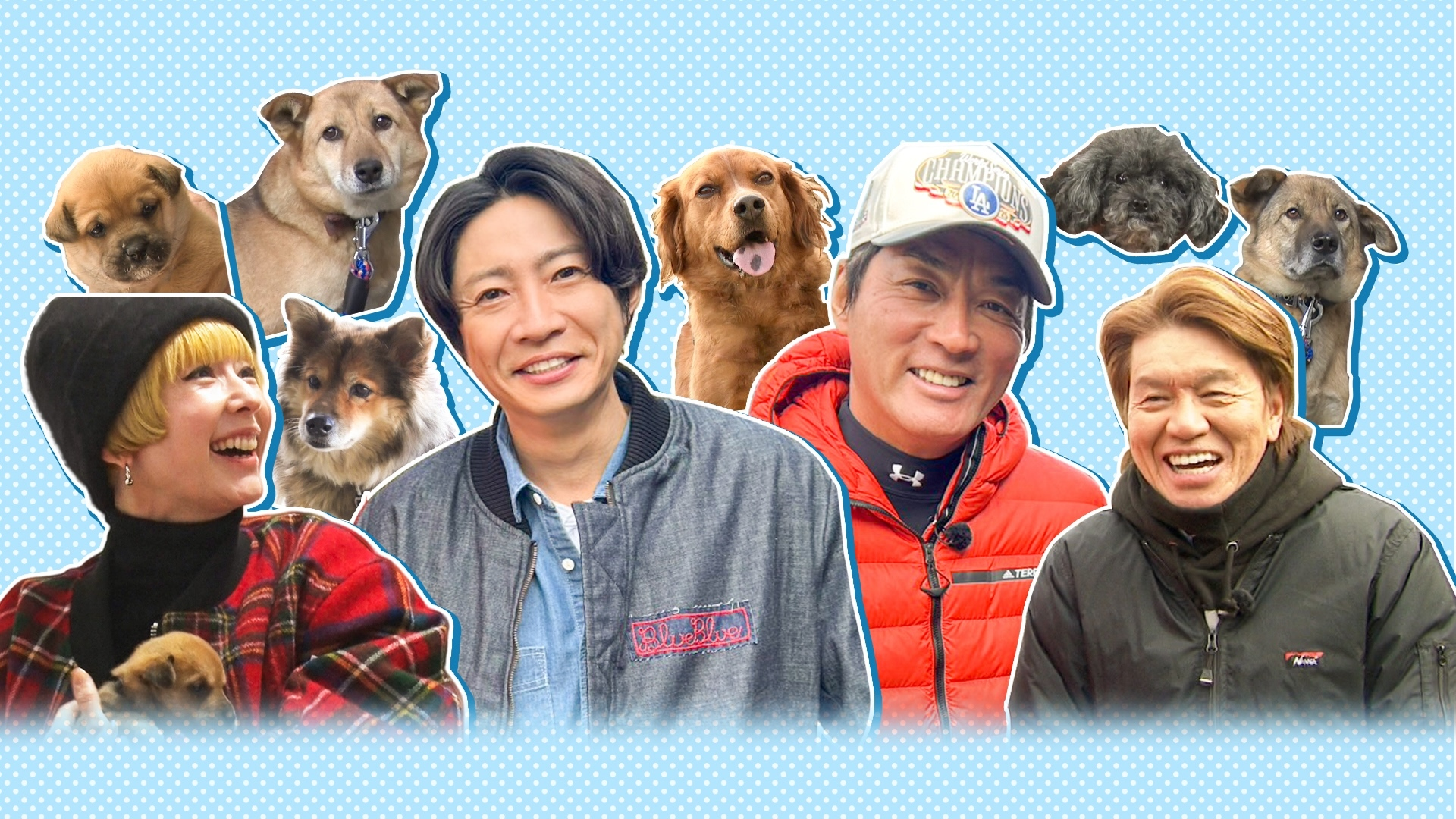 相葉トリミング×一茂さんぽ コラボスペシャル!