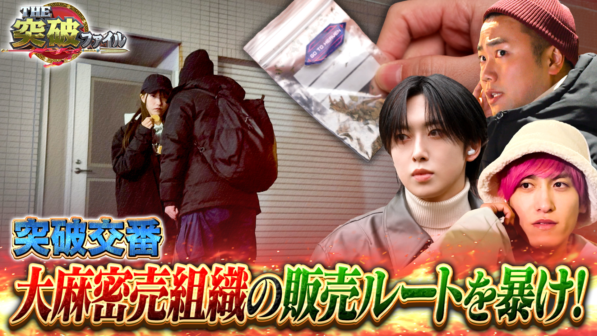 進化する凶暴IQ猿!? スグやる課▼街で大麻栽培…密売組織VS突破交番