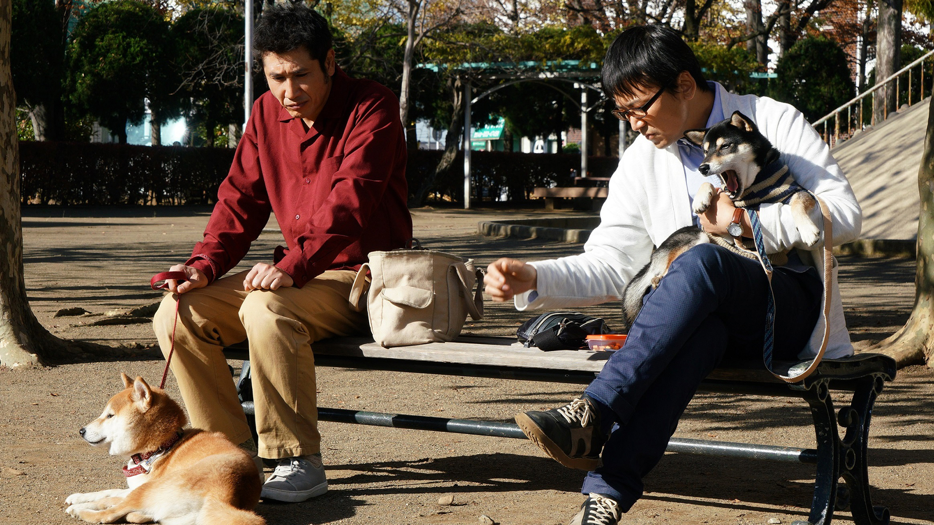 第八話『ちゅうしゃ』