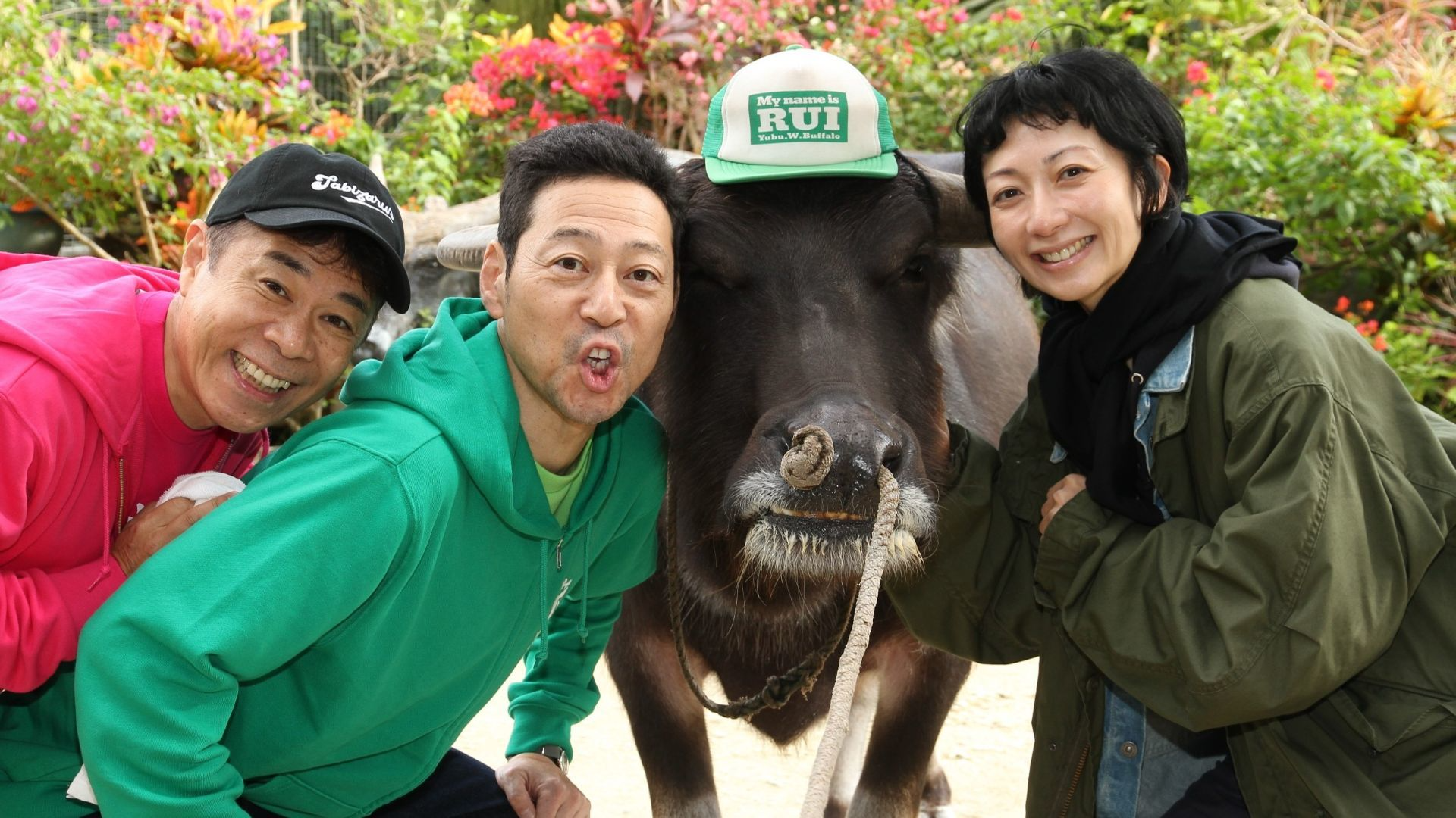 「石垣島をゆったり満喫の旅」第4話