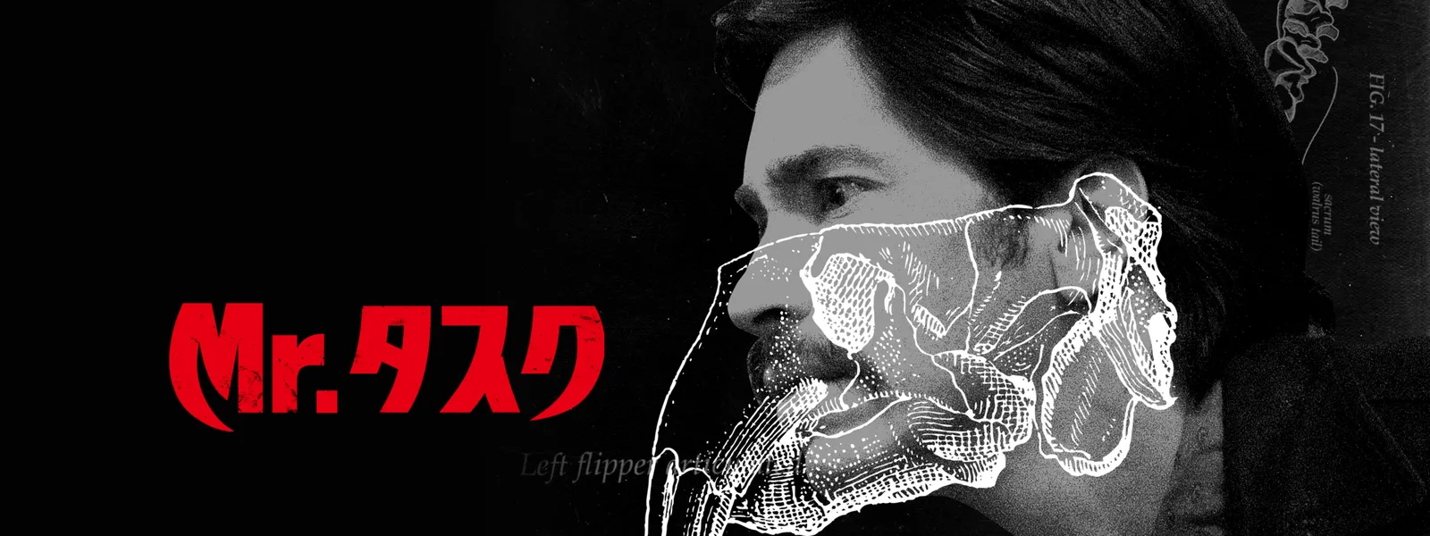 Mr タスク が見放題 Hulu フールー お試し無料 Mr タスク が見放題 Hulu フールー お試し無料