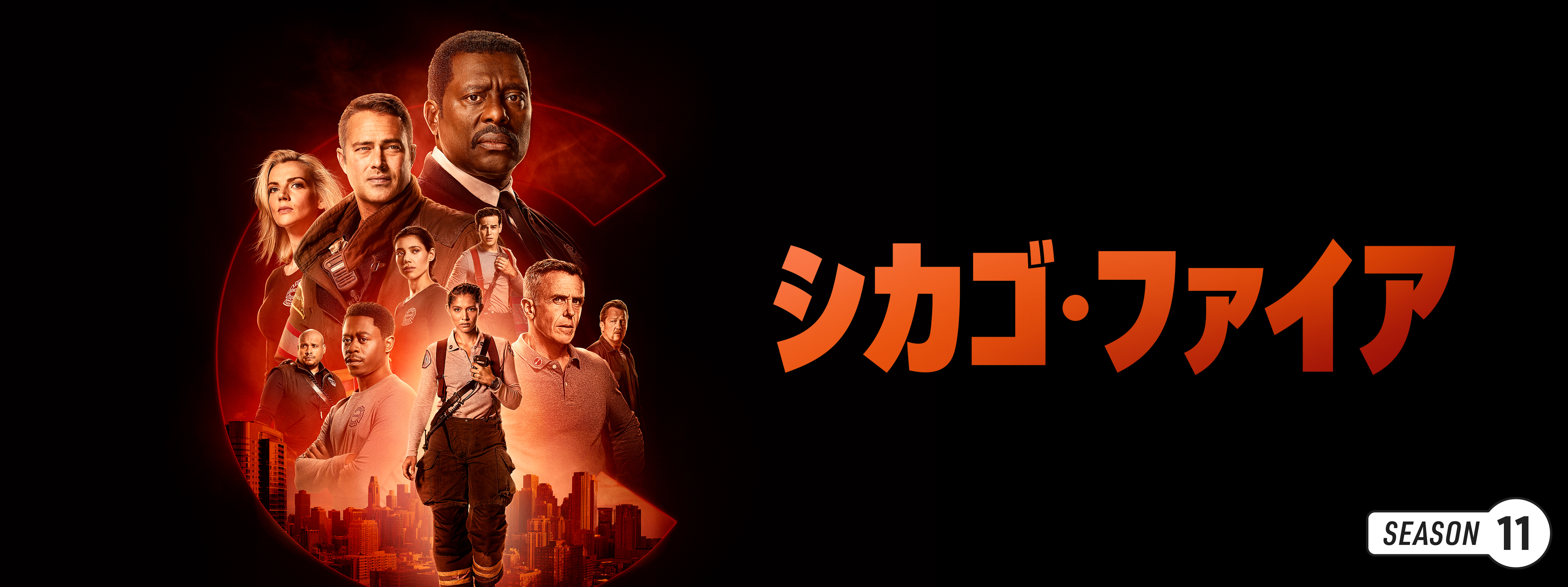 シカゴ・ファイア シーズン11 Amazon.co.jp: シカゴ・ファイア シーズン11 DVD-BOX : テイラー