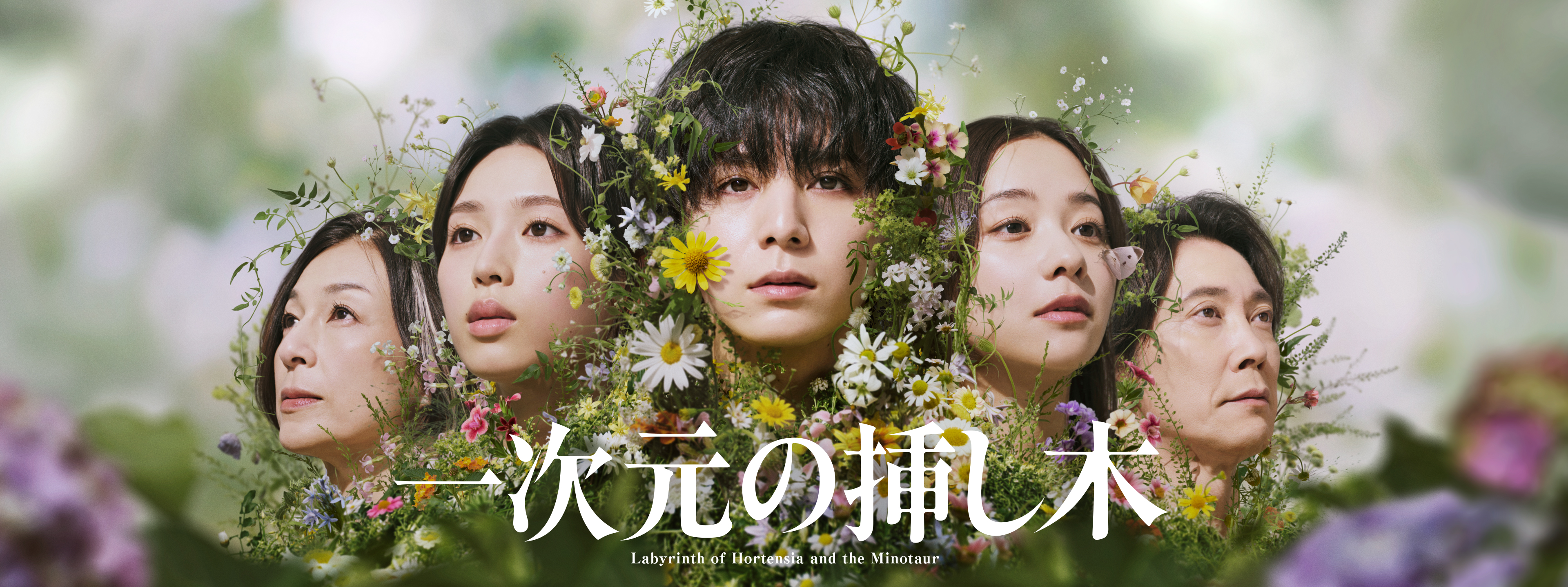 一次元の挿し木 | Hulu(フールー)