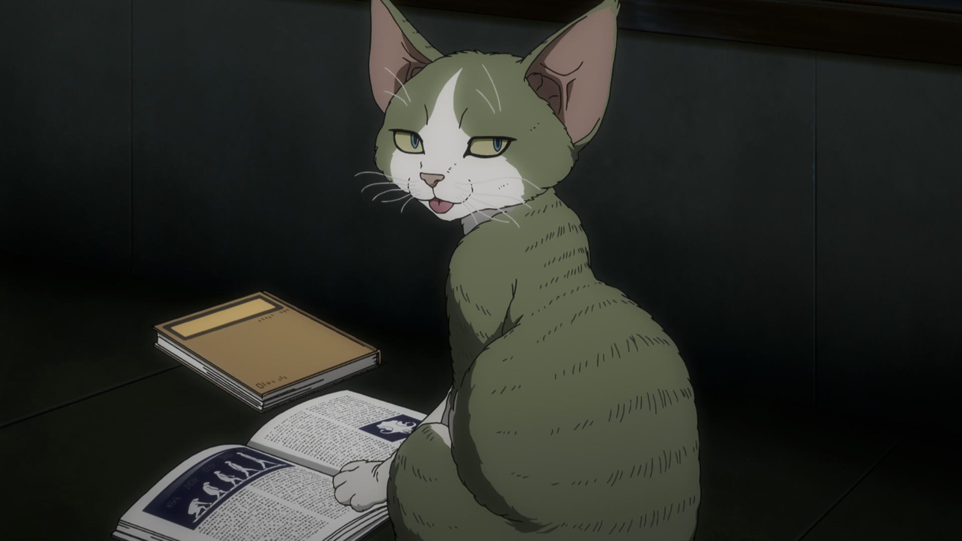 遊星からの猫D-REX