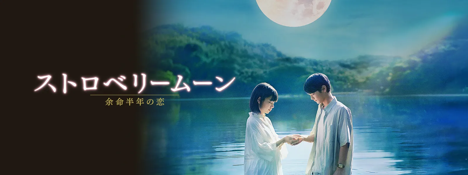 ストロベリームーン 余命半年の恋 | Hulu(フールー)