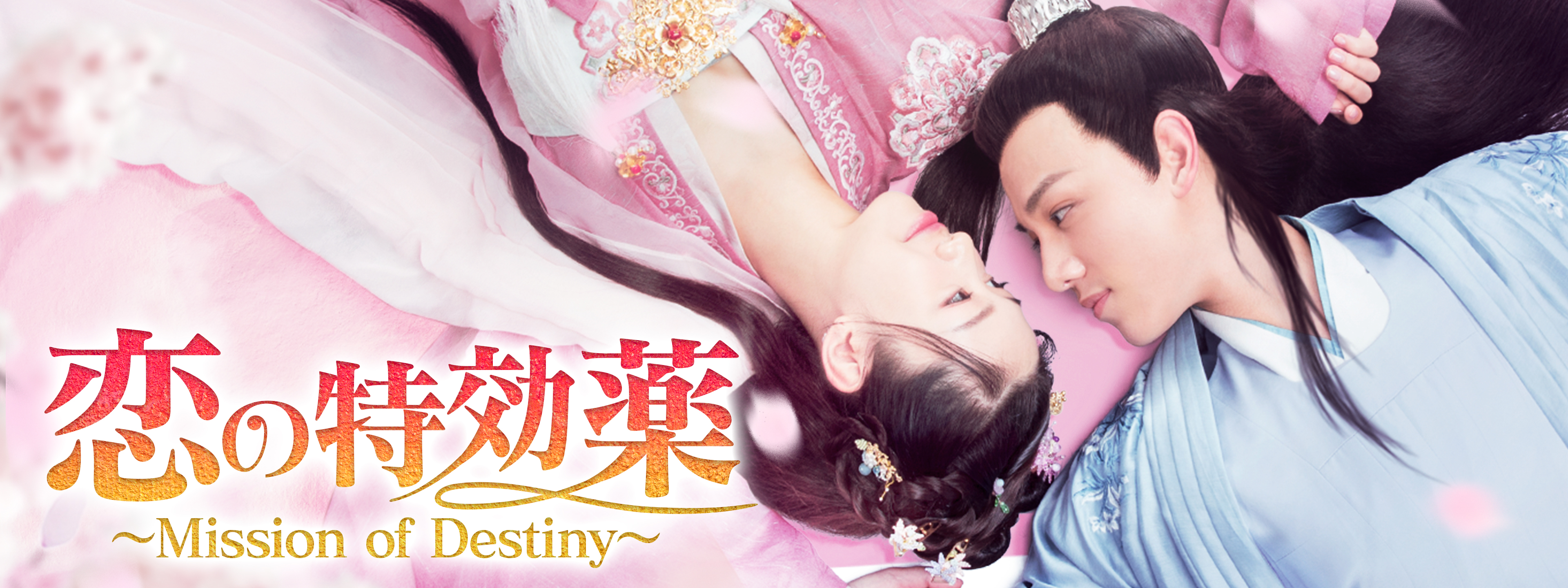 恋の特効薬 ～Mission of Destiny～ | Hulu(フールー)