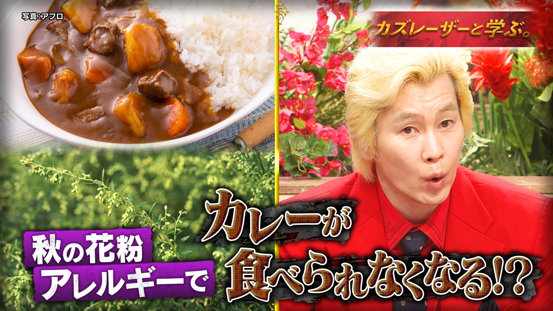 食と健康 秋の食物アレルギー&花粉症▼〇〇でカレー食べられなくなる!?