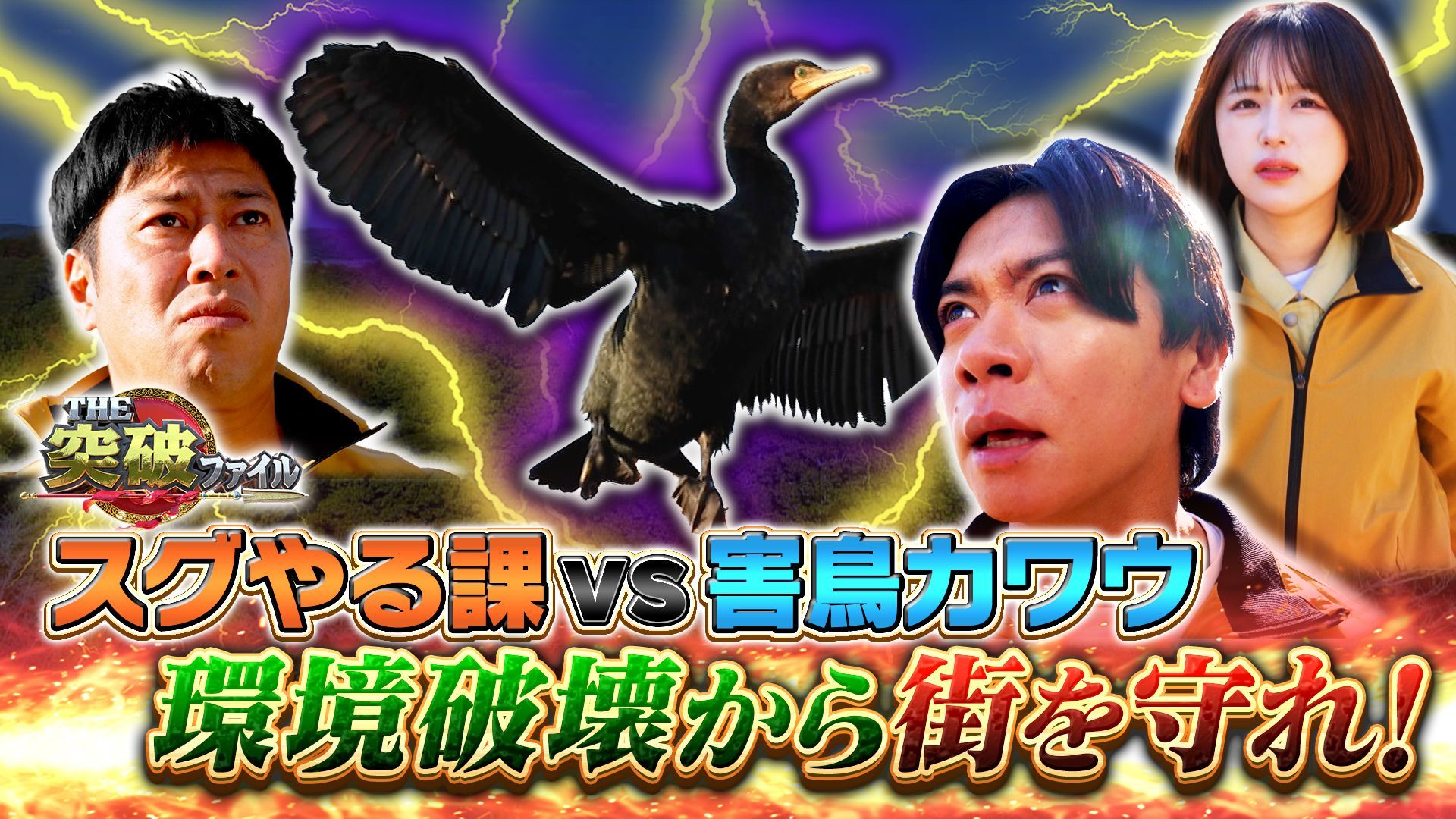 冬にウマいアレで心臓発作!? 人体ミステリー▼社会問題化! カワウ撃退法