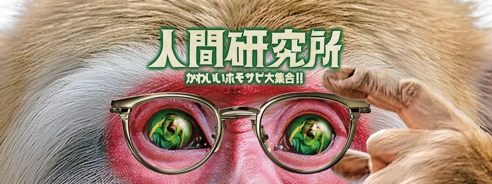 人間研究所 ～かわいいホモサピ大集合!!～ - サムネイル