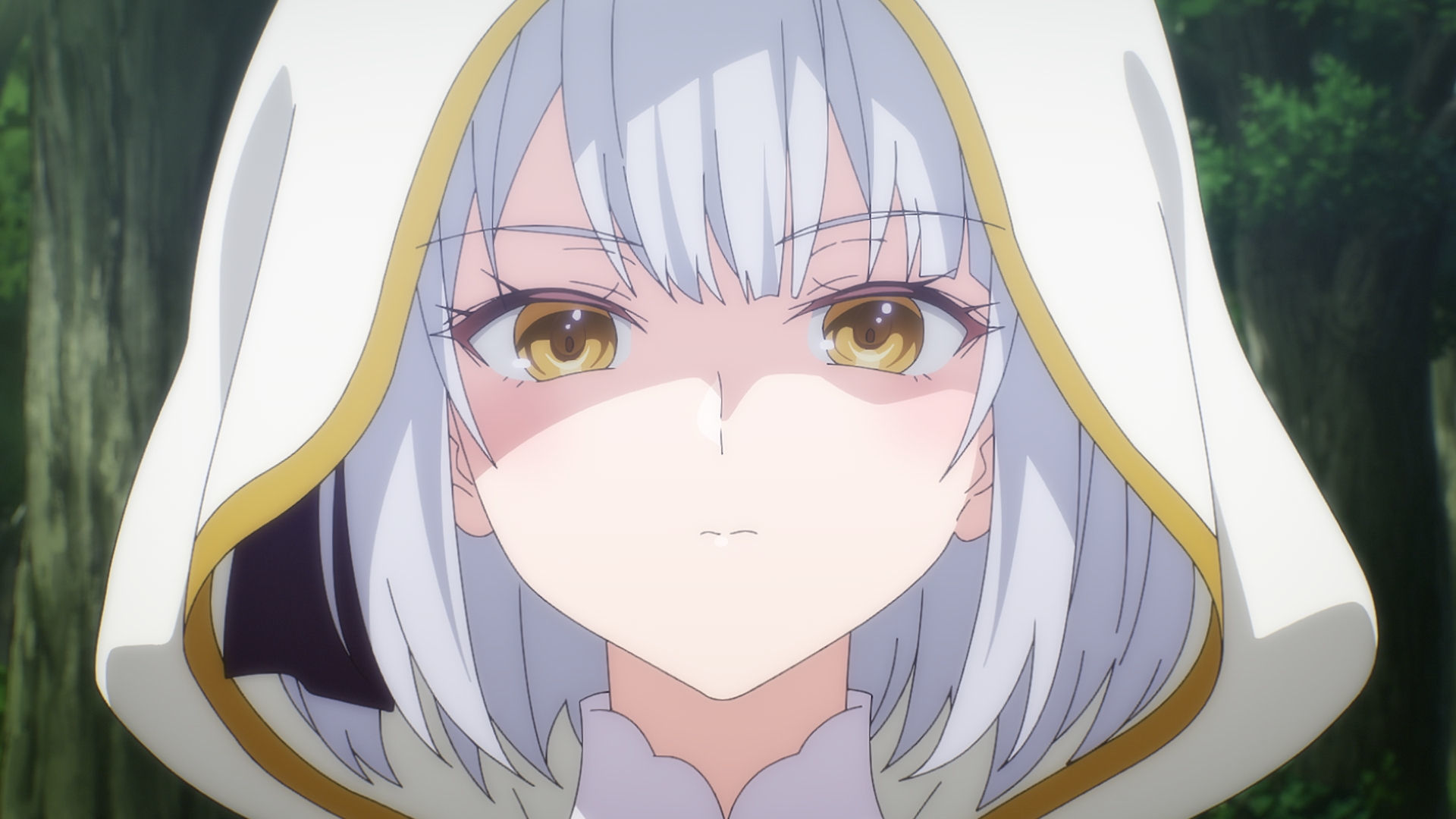 皆と戦う器用貧乏