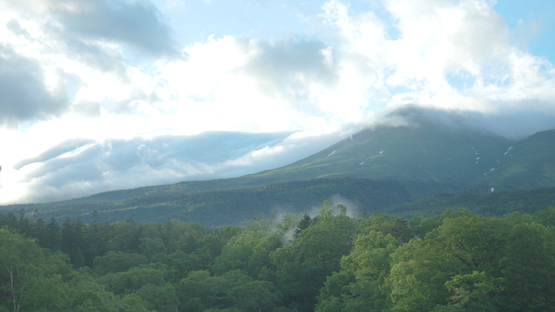 #44 俺はこの森でいまを生きたい